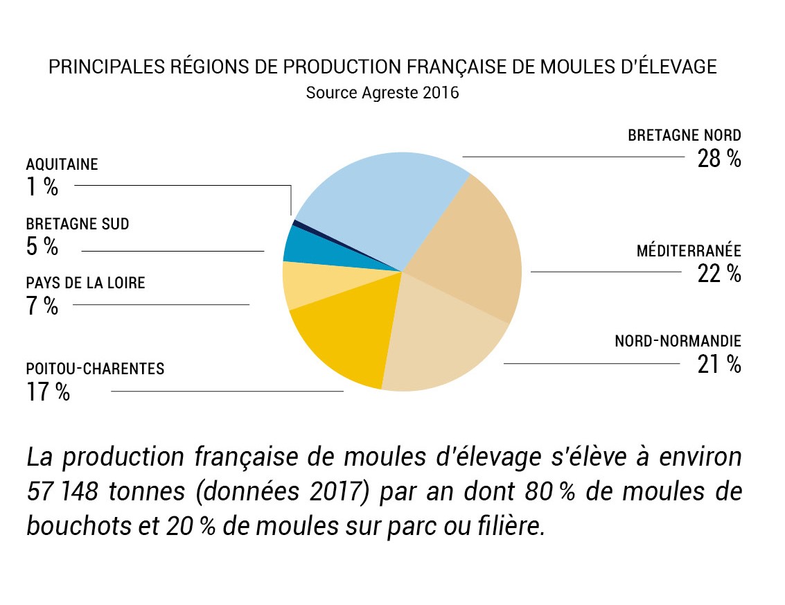 Moule Guide des espèces