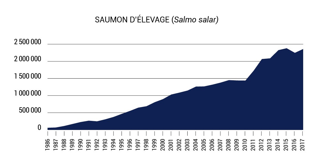 Saumon Guide des espèces
