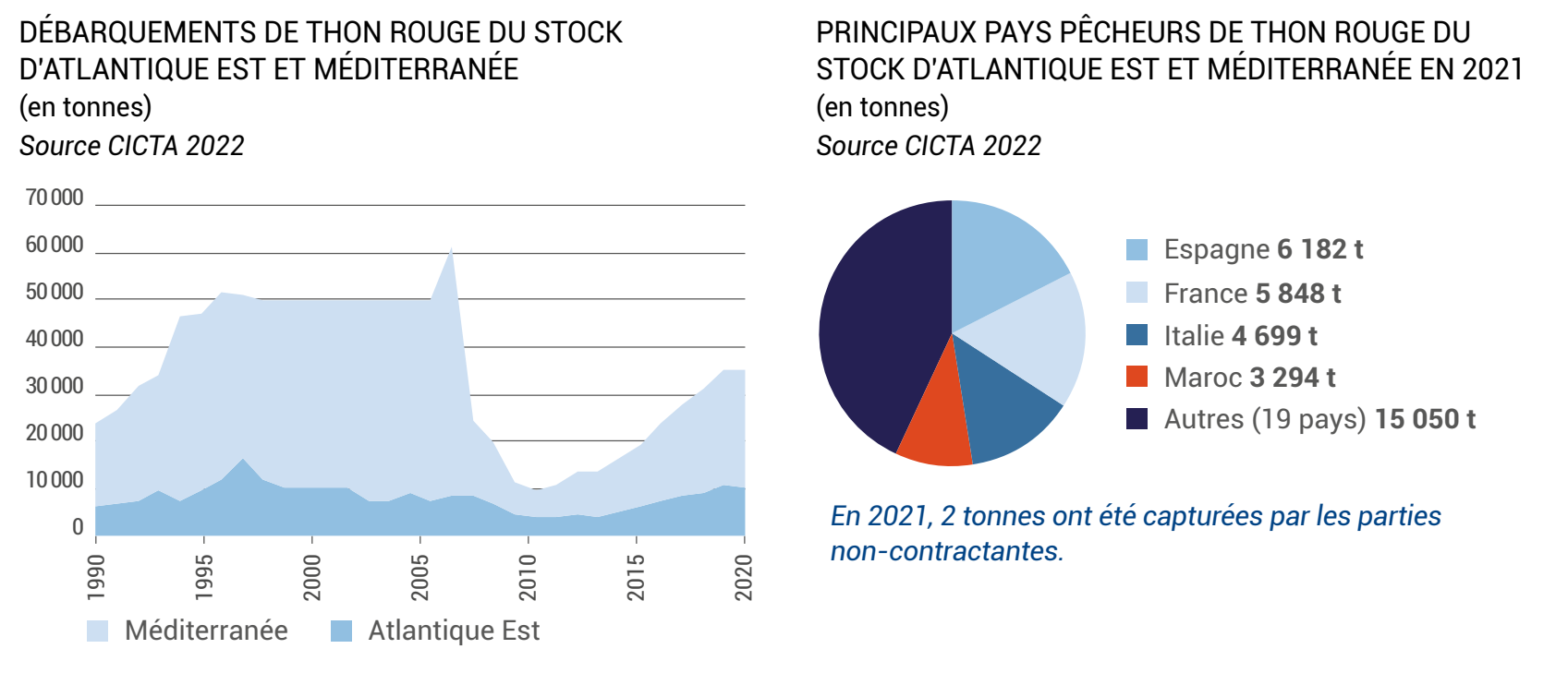 Qu'est ce que le thon rouge ? - Institut océanographique